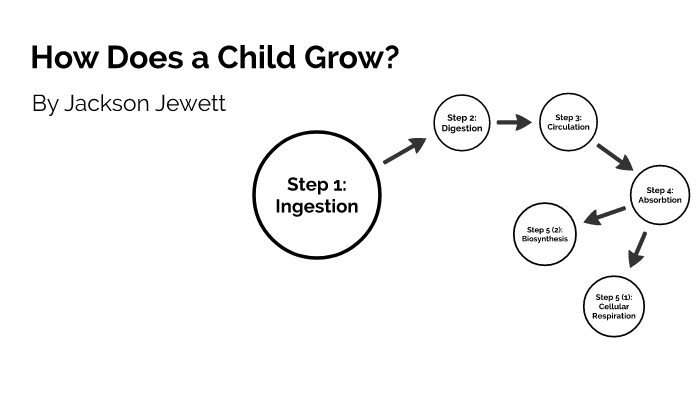 how-does-a-child-grow-by-jackson-jewett