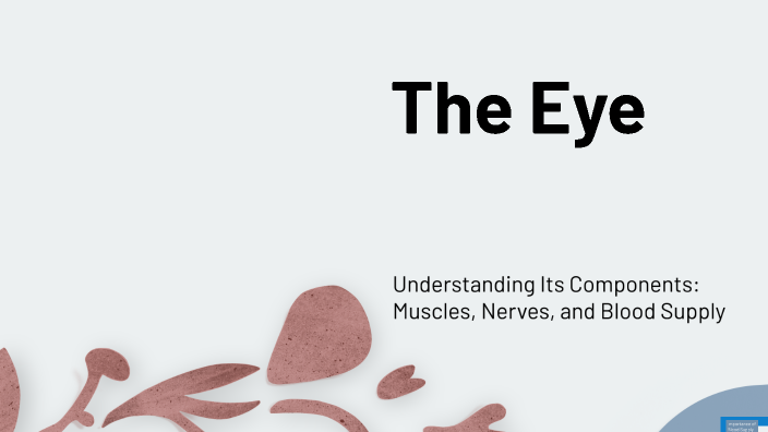 The Eye by Grace Dalton on Prezi