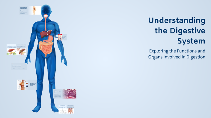 Understanding the Digestive System by Asma Fathy on Prezi