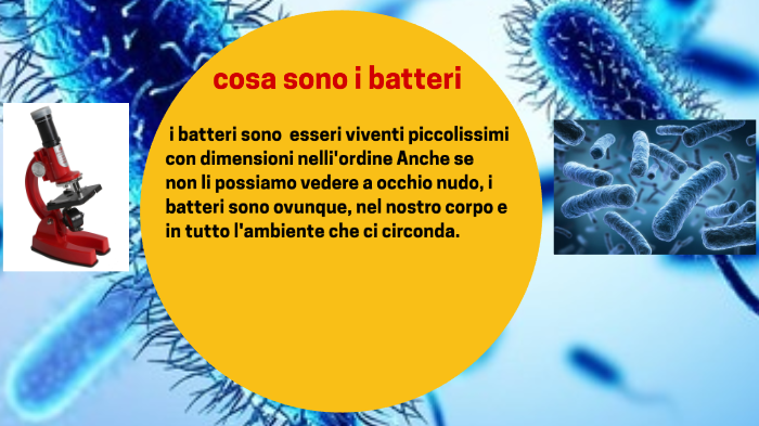 la differenza:batteri e i virus by Hiba Lamsatfi on Prezi