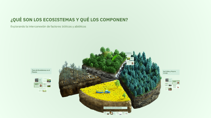 ¿QUÉ SON LOS ECOSISTEMAS Y QUÉ LOS COMPONEN? by roger garcia on Prezi