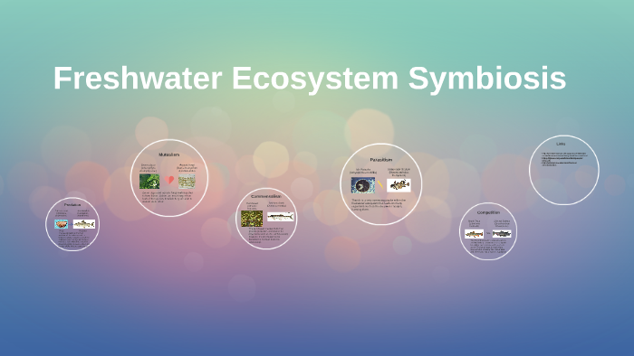 Freshwater Ecosystem Symbiosis by Sunil Krish on Prezi