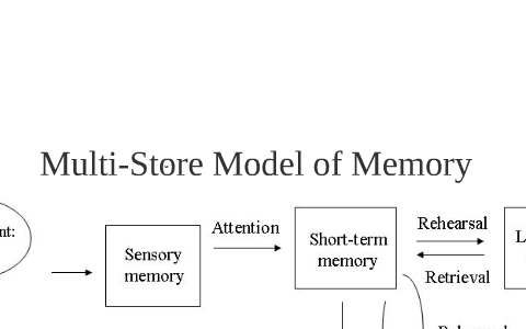 Atkinson-Shiffrin Multi Store Model of Memory by Ian Ebbett on Prezi