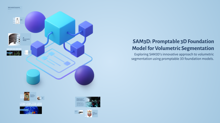 SAM3D: Promptable 3D Foundation Model for Volumetric Segmentation by Mo ...