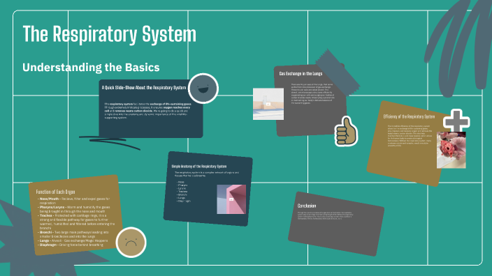 The Respiratory System by Joshua Grover on Prezi