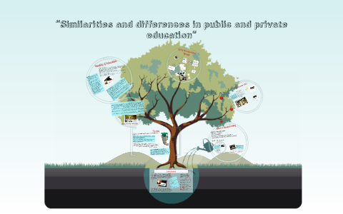 similarities between public and private universities
