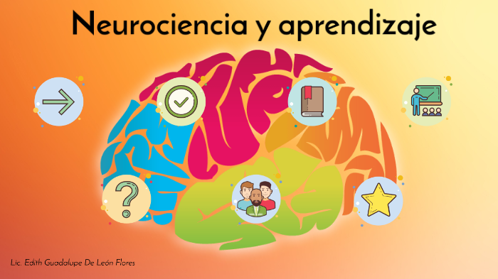 Neurociencia y aprendizaje by Lupita León on Prezi
