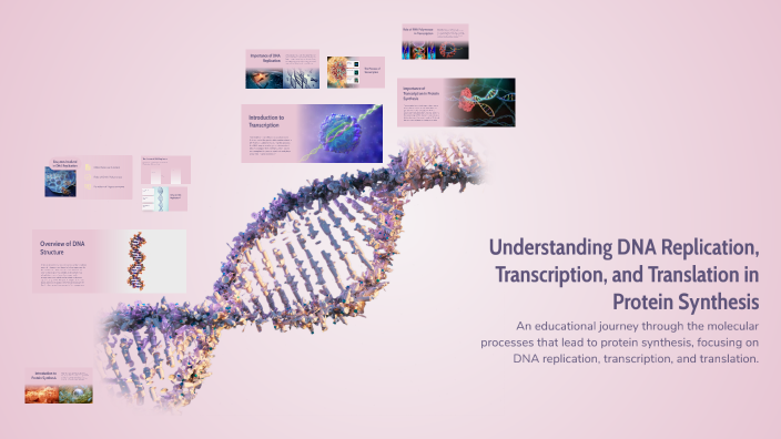 Understanding DNA Replication, Transcription, and Translation in ...