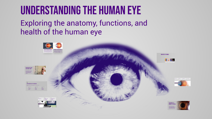 Understanding the Human Eye by ISG trainer3 superaip on Prezi