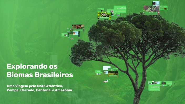 Os Biomas Brasileiros by William Amorim on Prezi