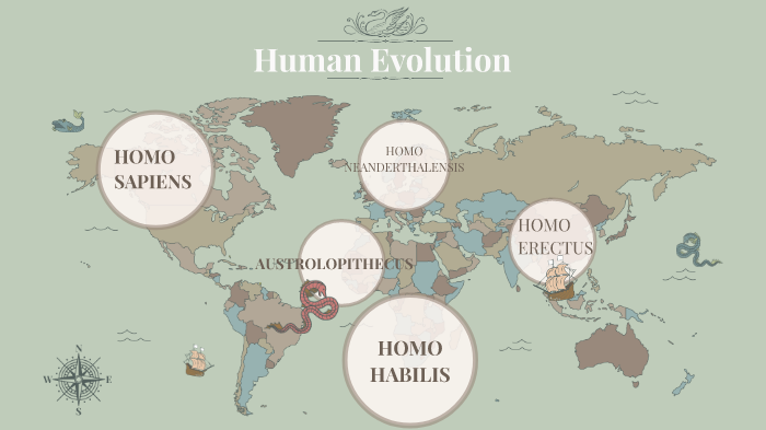 Human evolution by marc torres on Prezi