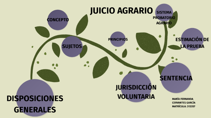 JUICIO AGRARIO By FERNANDA CERVANTES On Prezi