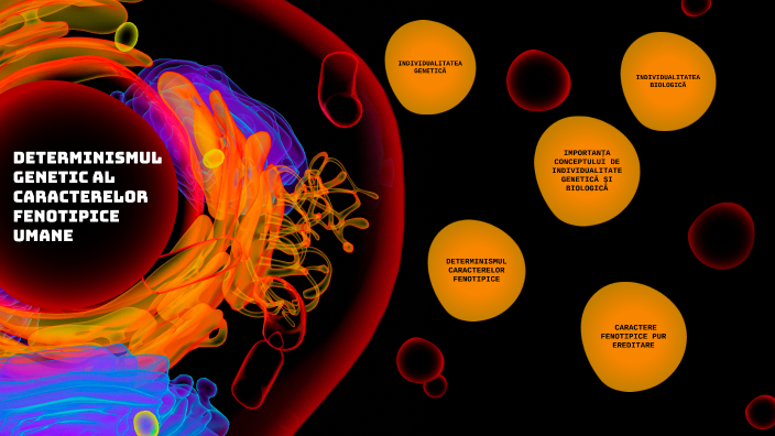 Determinismul genetic al caracterelor fenotipice umane by Cristina