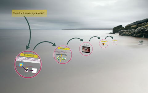 HOW THE HUMAN EYE WORKS by ismail mulla on Prezi