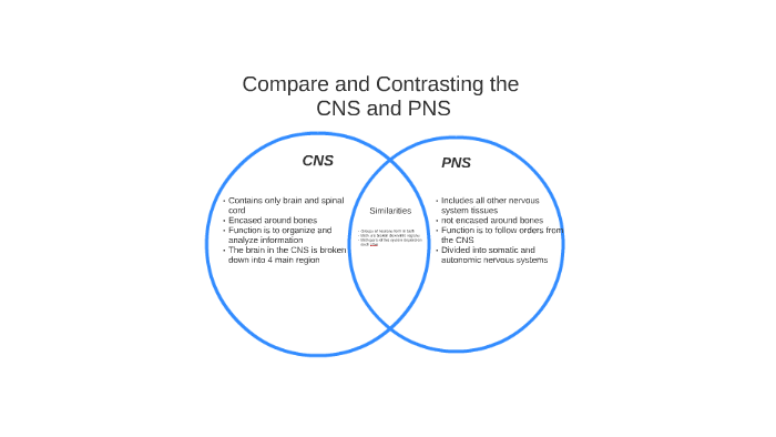 cns-vs-pns-by-sarah-prayner