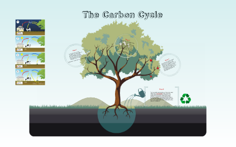 The Carbon Cycle by Lorenzo Rodriguez on Prezi