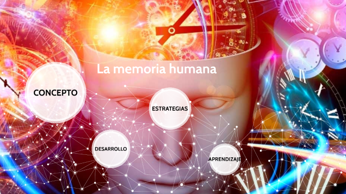 La memoria humana by angeles quinteros on Prezi