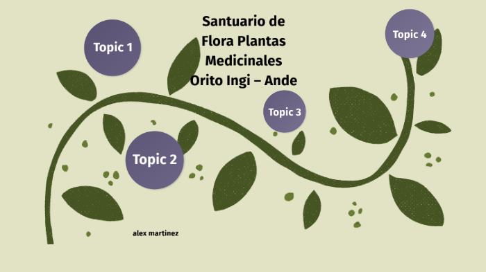 Santuario de Flora Plantas Medicinales Orito Ingi Ande by Alexx