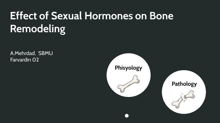 Effect Of Sexual Hormones On Bone Remodeling By Amirabbas Mehrdad On Prezi 5936