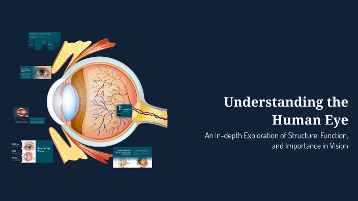 Understanding the Human Eye by stigmoplayz GD on Prezi