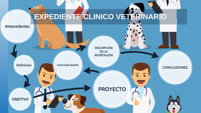Expediente Clinico Orientado A Problemas Veterinaria Pdf prezi.com