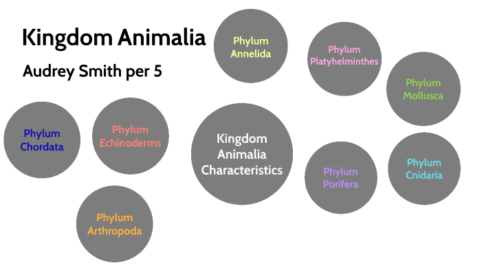 Year project zoology by Audrey Smith on Prezi