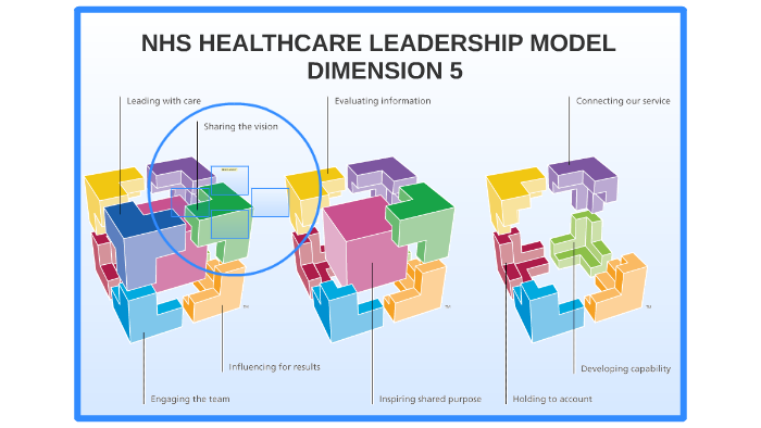 nhs leadership essay