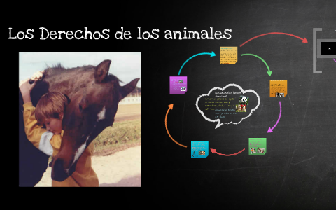 Los Derechos de los animales by Aldana Lopez on Prezi