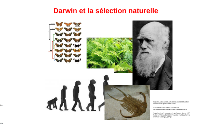 Darwin et la sélection naturelle by Bernard Lasnier