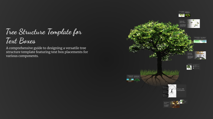 Tree Root Text Box Tree Structure Template for Text Boxes by Katie Gomes on Prezi
