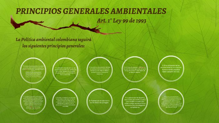 Principios Generales Ambientales By Ingrid Ibañez On Prezi Next 7402