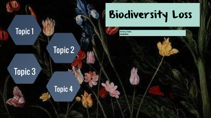 essay about biodiversity and species extinction