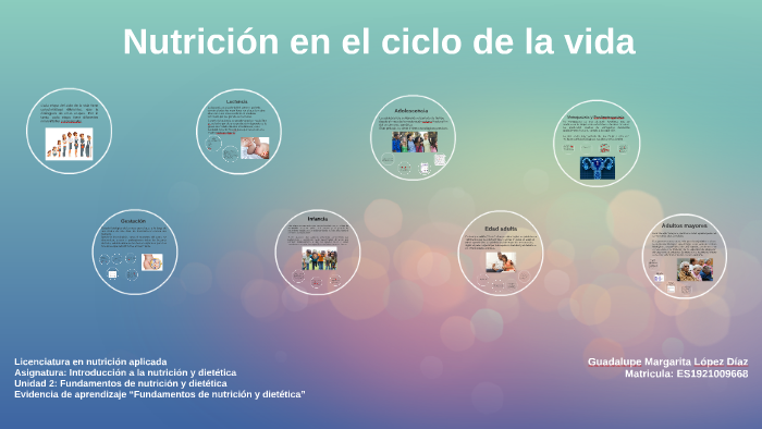 Importancia de la nutrición en el ciclo de la vida by Maggie Lopez on Prezi