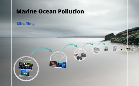 Marine Ocean Pollution by Olivia Hoag on Prezi