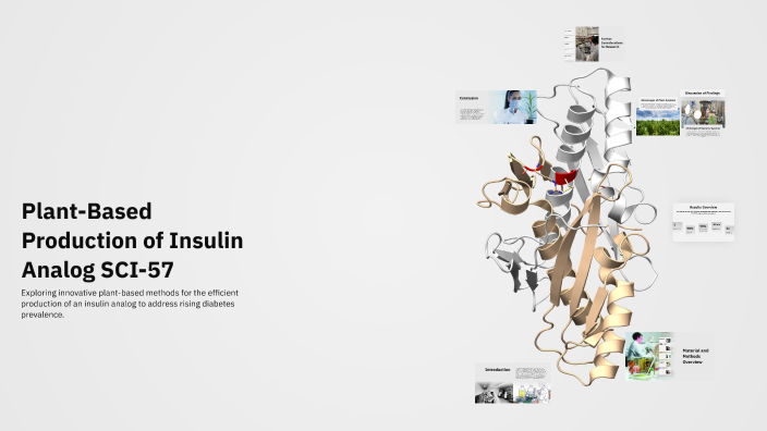 Plant-Based Production of Insulin Analog SCI-57 by samar sadki on Prezi