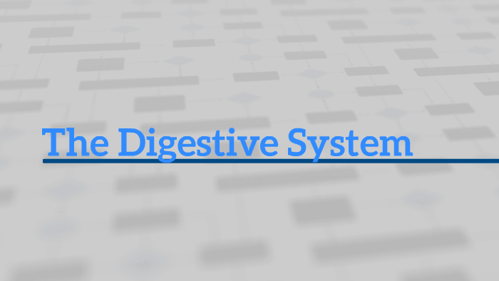 The Digestive System by Hannah bella on Prezi