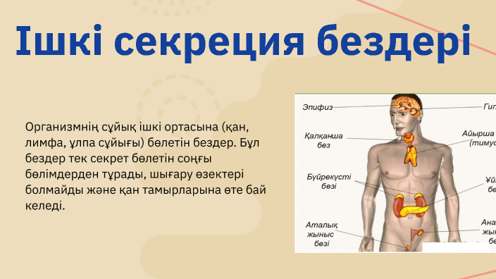 Аққұбаның силикон кеудесі және үлкен жамбастары бар.