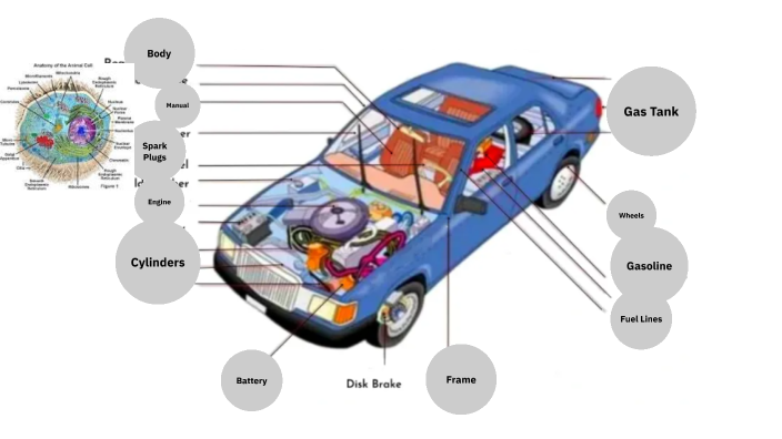 Car Analogy by James Garrison on Prezi