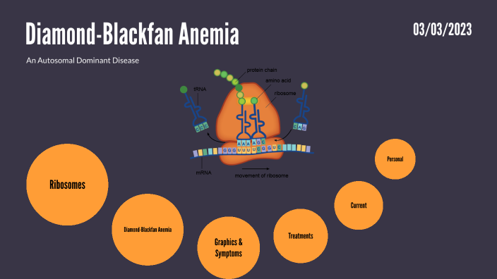 Diamond-Blackfan Anemia By Bridget Bidabadi