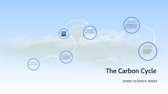 The Carbon Cycle by on Prezi