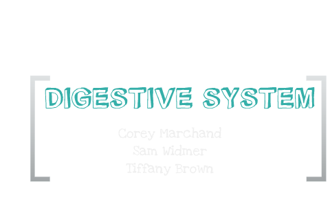 Digestive System by corey marchand on Prezi