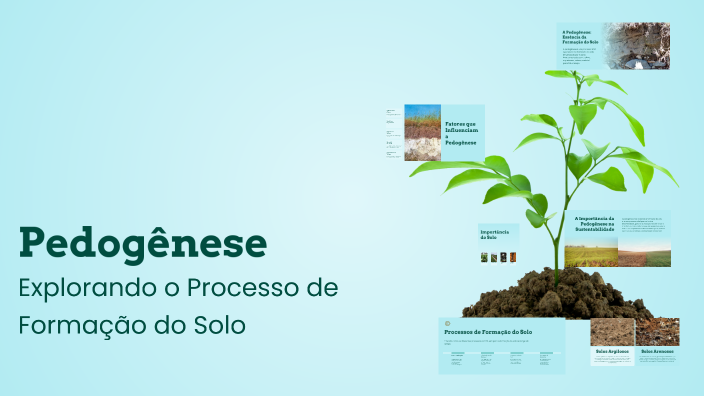 Pedogênese by Jhonatan Languidey on Prezi