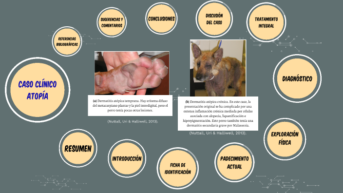 Caso Clinico Atopia by Nicolas Moreno on Prezi