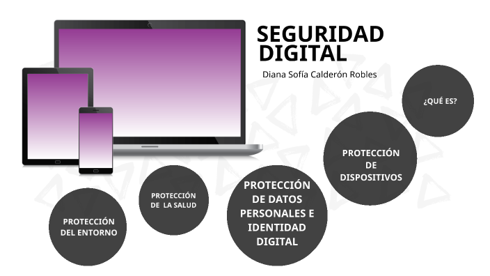 Seguridad Digital by Diana Sofía Calderón Robles on Prezi