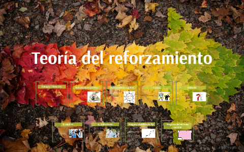 Teoría Del Reforzamiento By Nuria Vidal