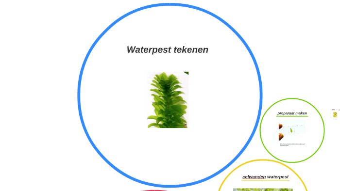 waterpest-tekenen-by-amanda-selling-on-prezi
