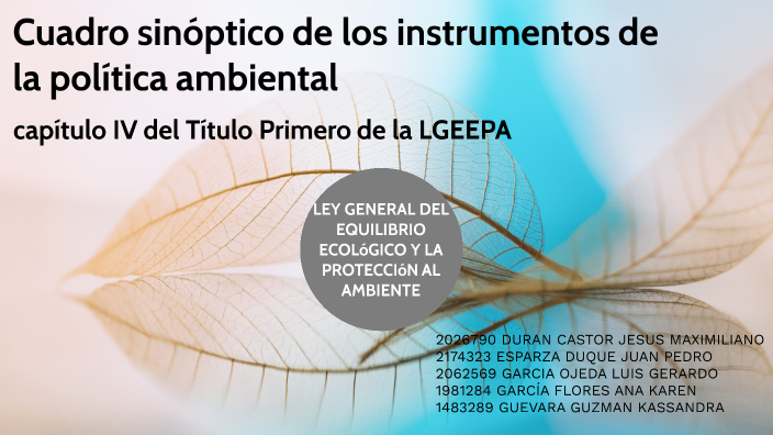 Actividad 3.1 Cuadro sinóptico de los instrumentos de la política
