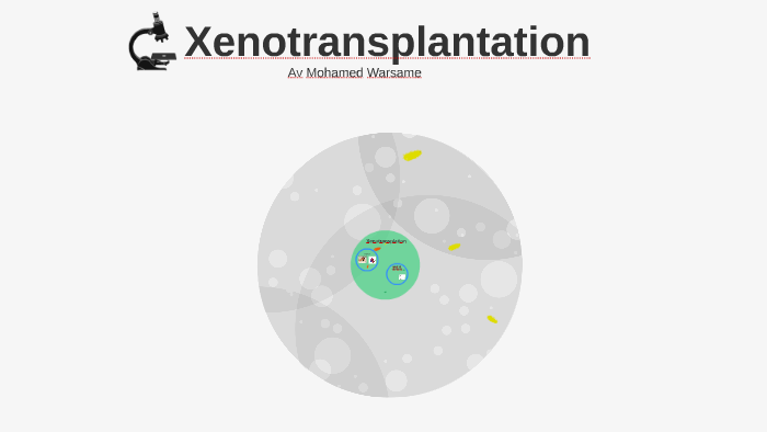 xenotransplantation timelane
