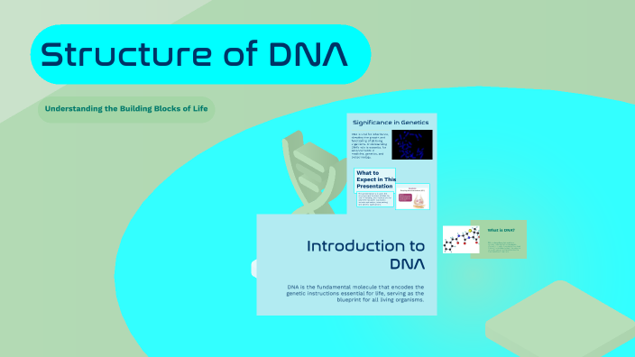 Structure of DNA by Ahmad Azimov on Prezi