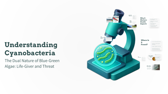 Understanding Cyanobacteria by Abbie Zimmerman on Prezi